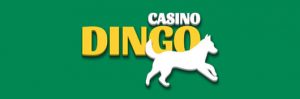 casino dingo logo